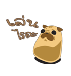 PUG.GU（個別スタンプ：13）