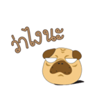 PUG.GU（個別スタンプ：25）