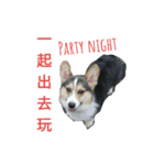 mawancorgi（個別スタンプ：13）