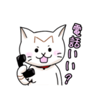 日常ねこねこスタンプ（個別スタンプ：11）