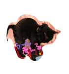black cat U ni（個別スタンプ：6）