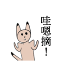 Cat Ioves to say（個別スタンプ：3）