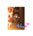 可愛い猫 キティ（個別スタンプ：11）