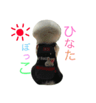 トイプードル さぁーくん（個別スタンプ：3）