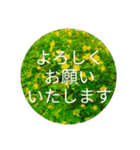 お花模様の背景、挨拶（個別スタンプ：12）