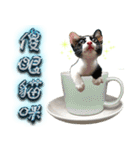 Potted Cat ＆ Cup Cat Family（個別スタンプ：40）