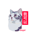 Bagel Lee -daily use（個別スタンプ：9）