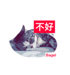 Bagel Lee -daily use（個別スタンプ：36）