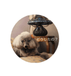 YAMASHITA dogs（個別スタンプ：13）