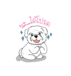 Momo Cute Dog [Thai Version1]（個別スタンプ：4）