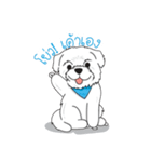 Momo Cute Dog [Thai Version1]（個別スタンプ：6）