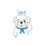 Momo Cute Dog [Thai Version1]（個別スタンプ：8）