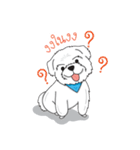 Momo Cute Dog [Thai Version1]（個別スタンプ：17）