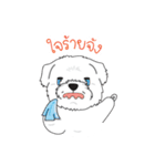 Momo Cute Dog [Thai Version1]（個別スタンプ：18）