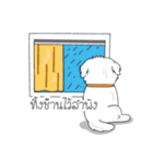 Momo Cute Dog [Thai Version1]（個別スタンプ：24）