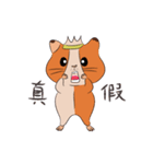 Two Guinea Pigs（個別スタンプ：14）