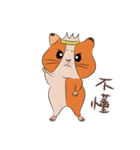 Two Guinea Pigs（個別スタンプ：37）