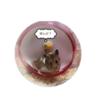 dog.mouse（個別スタンプ：4）