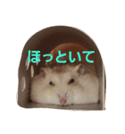 こつぶ君っていいます（個別スタンプ：7）