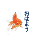 癒し生活 [金魚]（個別スタンプ：4）