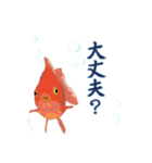 癒し生活 [金魚]（個別スタンプ：9）