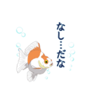 癒し生活 [金魚]（個別スタンプ：11）