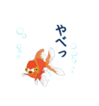 癒し生活 [金魚]（個別スタンプ：29）