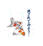 癒し生活 [金魚]（個別スタンプ：31）