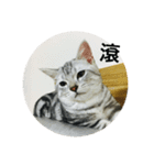 cat onigiri（個別スタンプ：11）