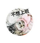 cat onigiri（個別スタンプ：15）