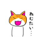 ゆるめのねこ。（個別スタンプ：13）