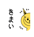 Wit cat's ‘こん’-j1-1（個別スタンプ：21）