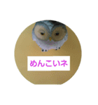 Wolstamp（個別スタンプ：7）