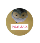 Wolstamp（個別スタンプ：9）