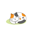 orange ＆ black cat（個別スタンプ：10）