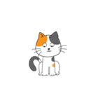 orange ＆ black cat（個別スタンプ：12）