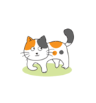 orange ＆ black cat（個別スタンプ：14）