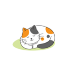 orange ＆ black cat（個別スタンプ：16）