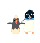 南極アデリーペンギン（個別スタンプ：7）