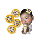 CCBABY DAILY（個別スタンプ：12）