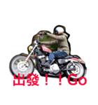 Free-rider（個別スタンプ：1）