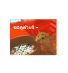Sao＆Cream The Hamster（個別スタンプ：5）