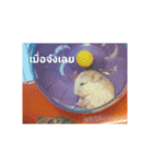 Sao＆Cream The Hamster（個別スタンプ：6）
