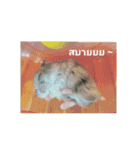 Sao＆Cream The Hamster（個別スタンプ：10）