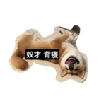 Whisky Shiba（個別スタンプ：23）