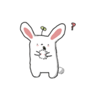 rabbit ouob（個別スタンプ：1）