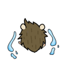 QQHedgehog（個別スタンプ：14）