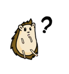 QQHedgehog（個別スタンプ：16）