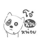 noy dog face（個別スタンプ：23）