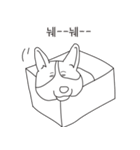 Pig of Welsh CorgI（個別スタンプ：15）